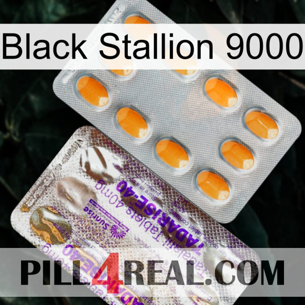 Black Stallion 9000 new12.jpg